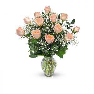 dozen peach roses in vase with baby's breath