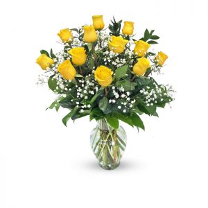 dozen yellow roses in vase with baby's breath