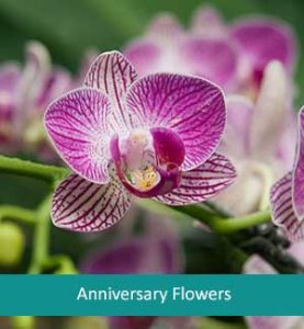 Anniversary Flowers