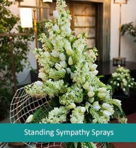 Standing Sympathy Spray